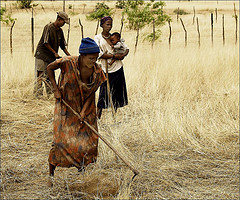 533857037_a9616e3cb6_m