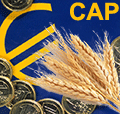 CAP Reform