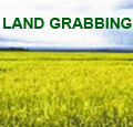 land grabbing